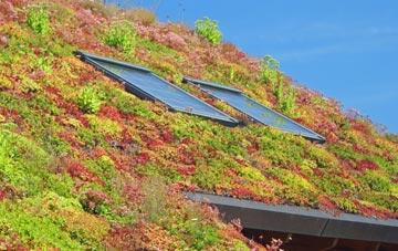 Lamorran living roof systems